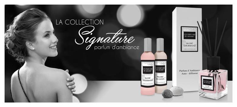 Fournisseur de diffuseur de parfum vers Marseille (13)