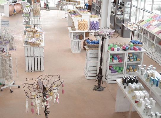 magasin d'usine parfumerie de grasse