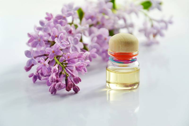entreprise de parfum grasse