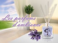 Notre zone d'activité pour ce service Grossiste en vrai parfum original sans marque avec flacons de 100ml ou 33ml en France
