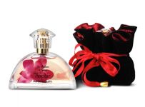 Nos prestations sur le secteur de Vers Marseille 13